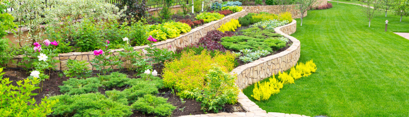 How to Avoid the Most Common Landscaping Mistakes at All Costs