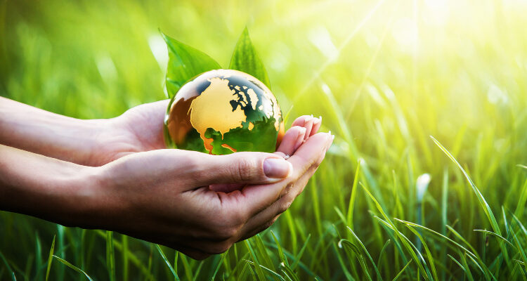 3 Simple Ways to Contribute to a Greener Earth